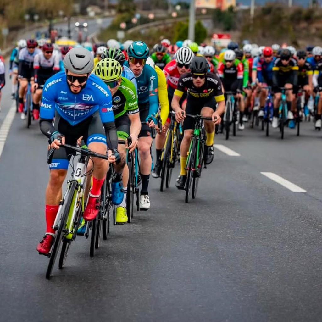 Süleyman   ÇELIKKAYA