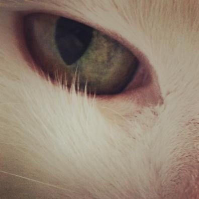 Sonia Vermeiren🇺🇦 🇬🇱