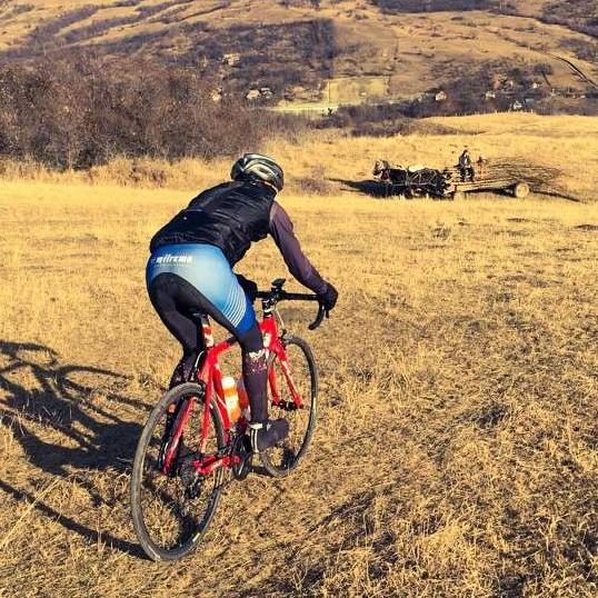 Daniel Ⓜ️anolea✨