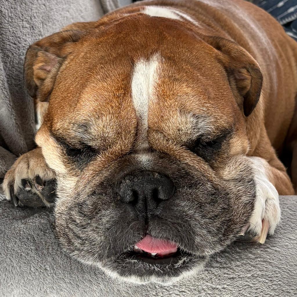 Patrick Bacon-Blaber [OTE]