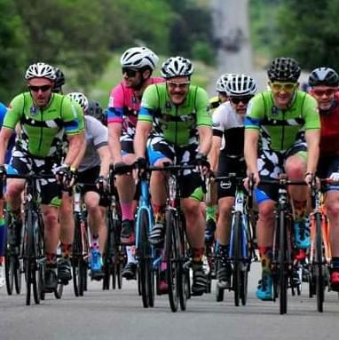 Steven Proudfoot(CHOC Cows)