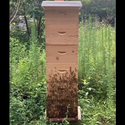 Bee Keeper