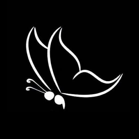 Noah Weisberg (RollCo)