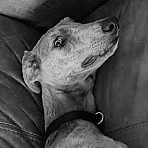 Colin "Pikie" Chambers CLS