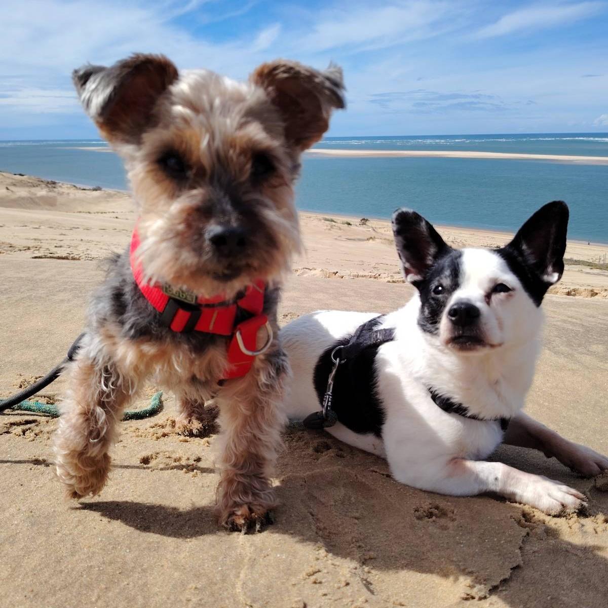 David Ontalvilla [SISU]