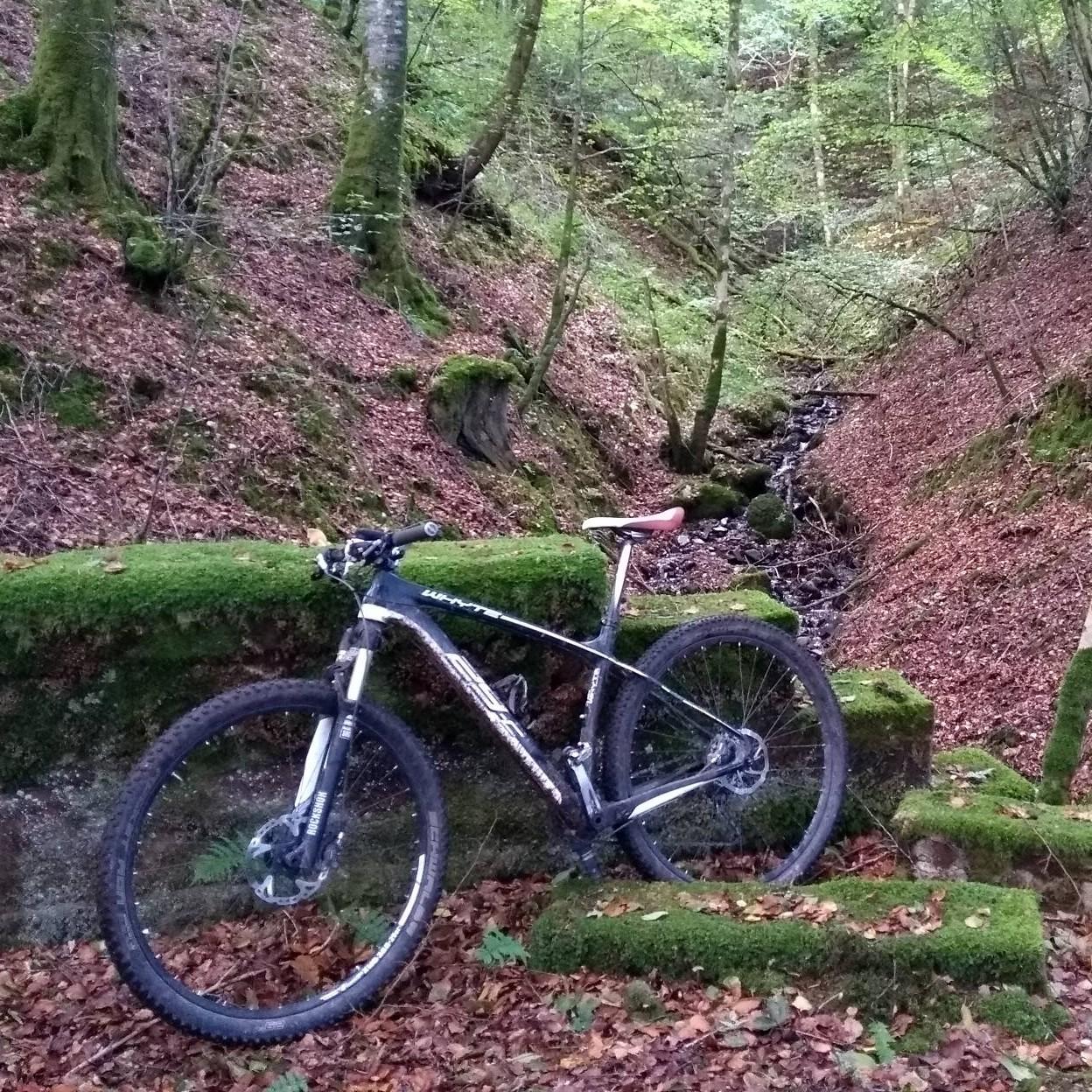 Phillip Davies (V-Sprint) 