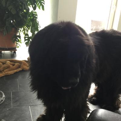 Andreas  Egeler(SoBaB)