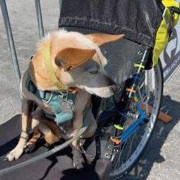 JG Gerber (Ride for Palestine)