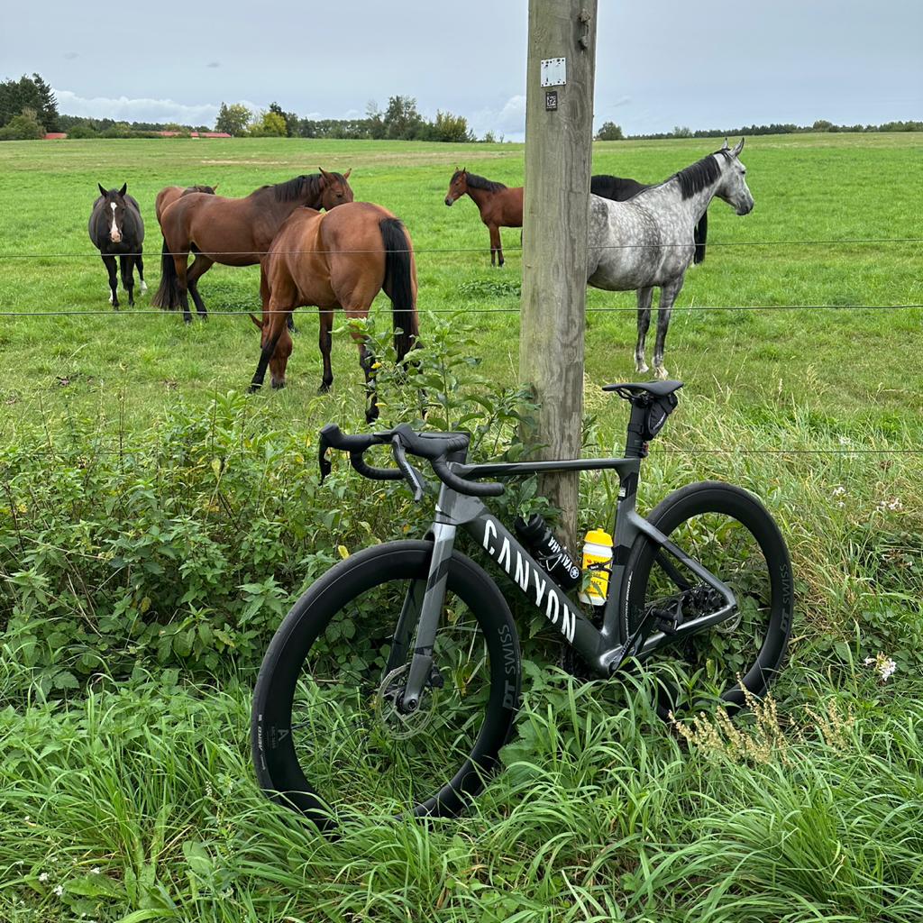 Philip Dohmann 🔵⚪️