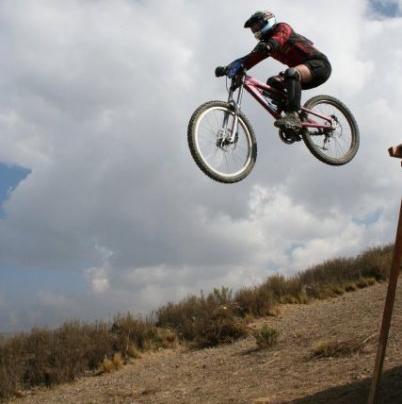 Anne  Bock🕊(Herd)