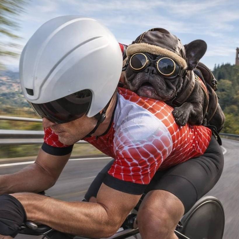 FABIO Benotti [CYE-U]