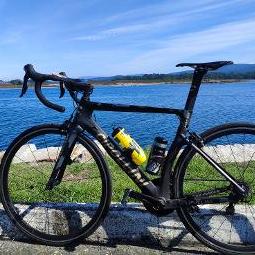 Luis Ernesto Gomez Antonio