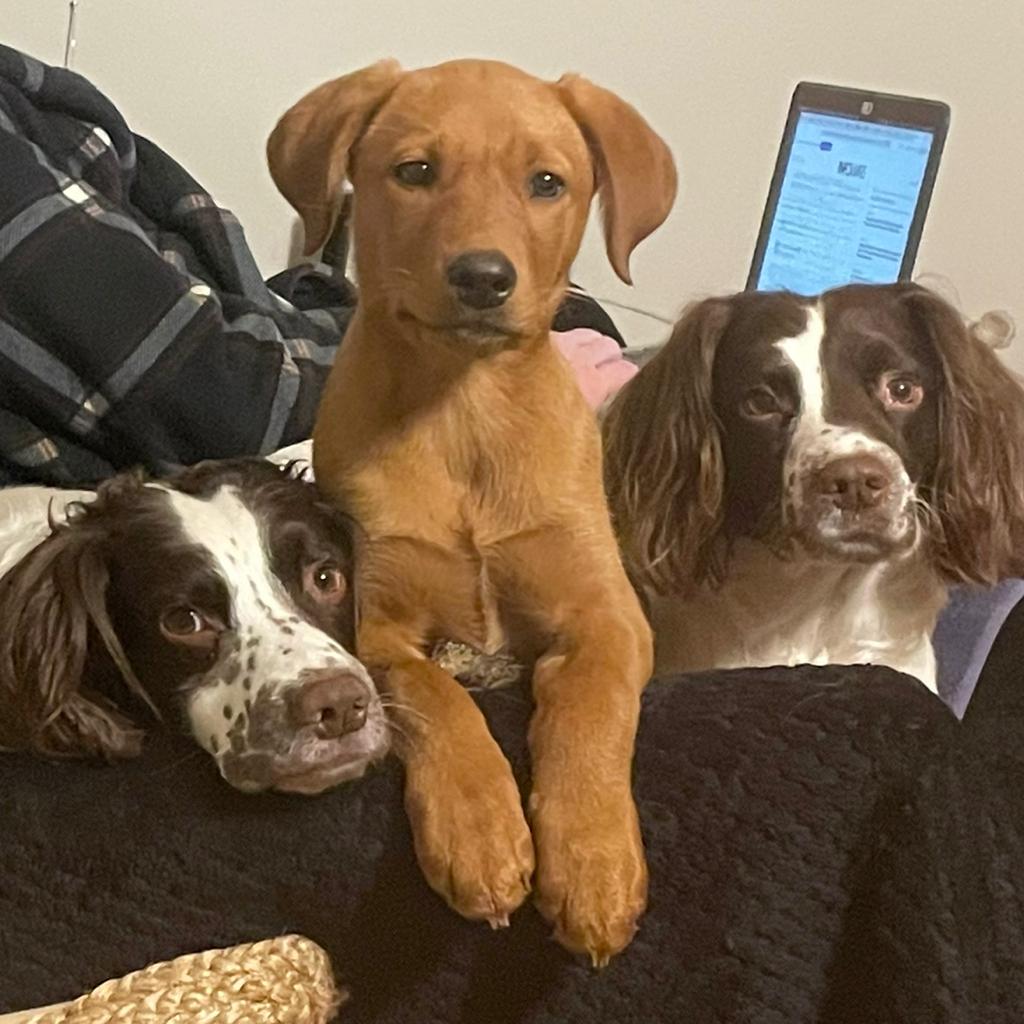 Gemma Milne ~BikeMS 💕🐆ZLDR