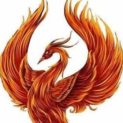 P hoenix12