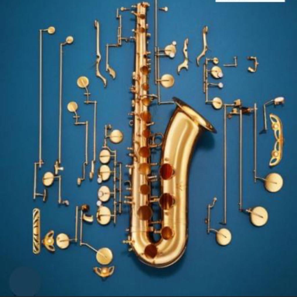 Henrik Birkmann [DBR] [VCC]