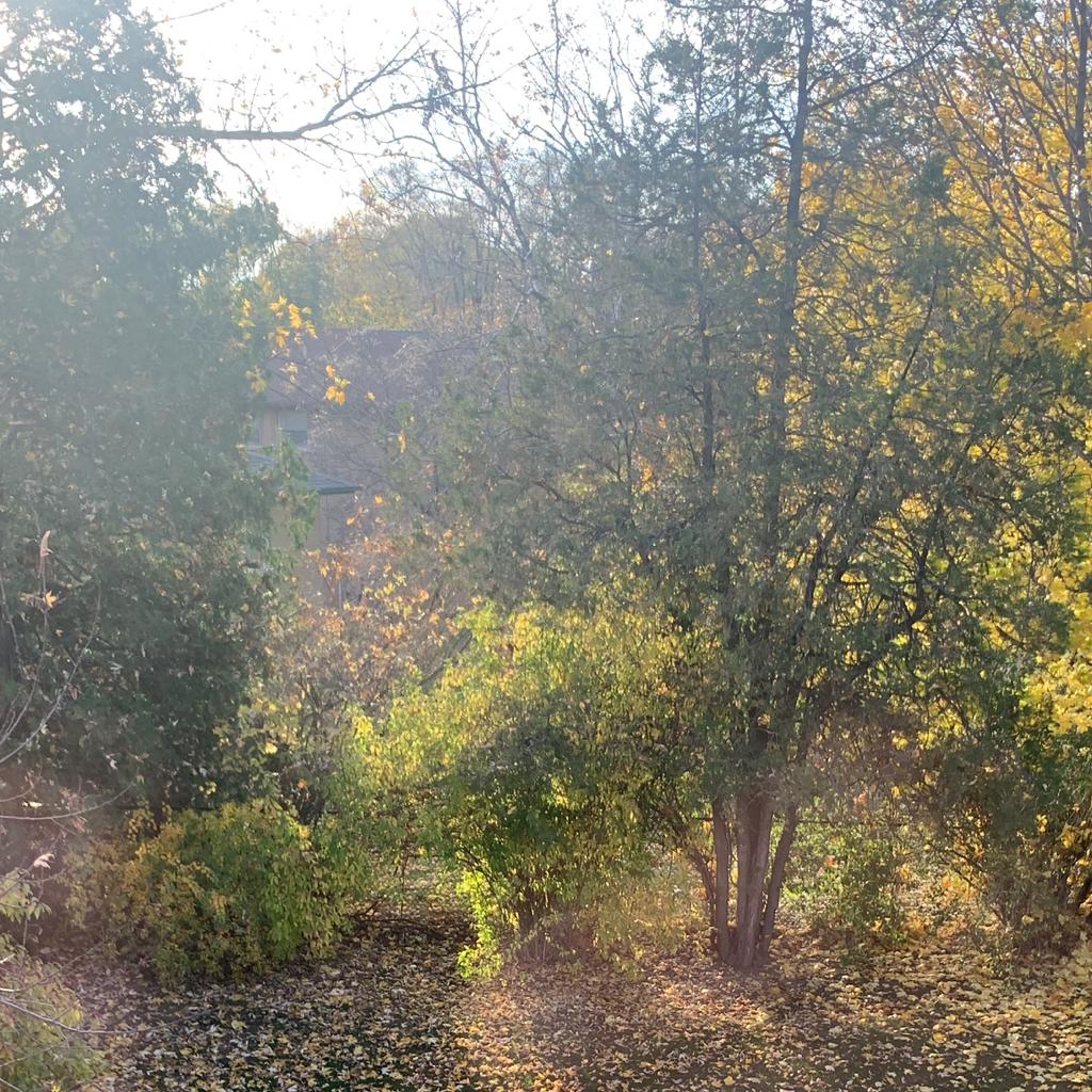 Howard L.  (Canardly. CC)