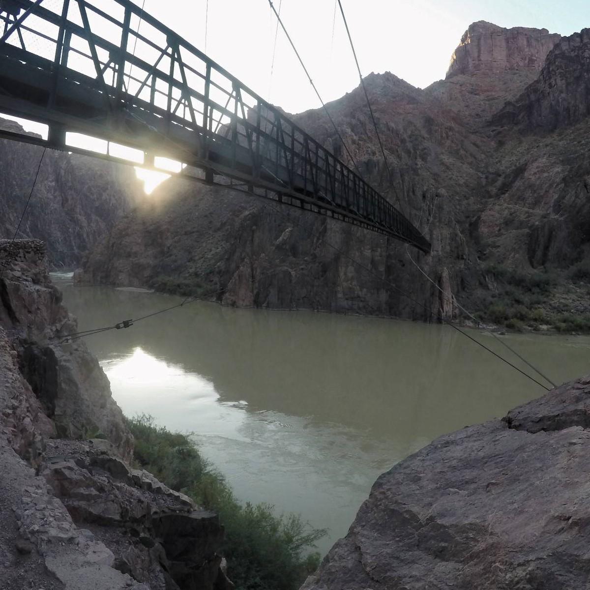 Bob Team Zoot|Infinite