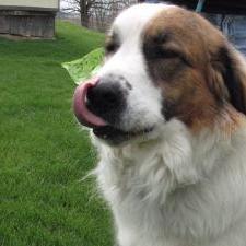 Frank Giresi  C  (Basecamp)