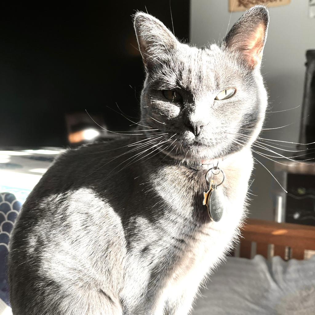 Amy Margolis 🌱 (Dino T-Wrecks) 