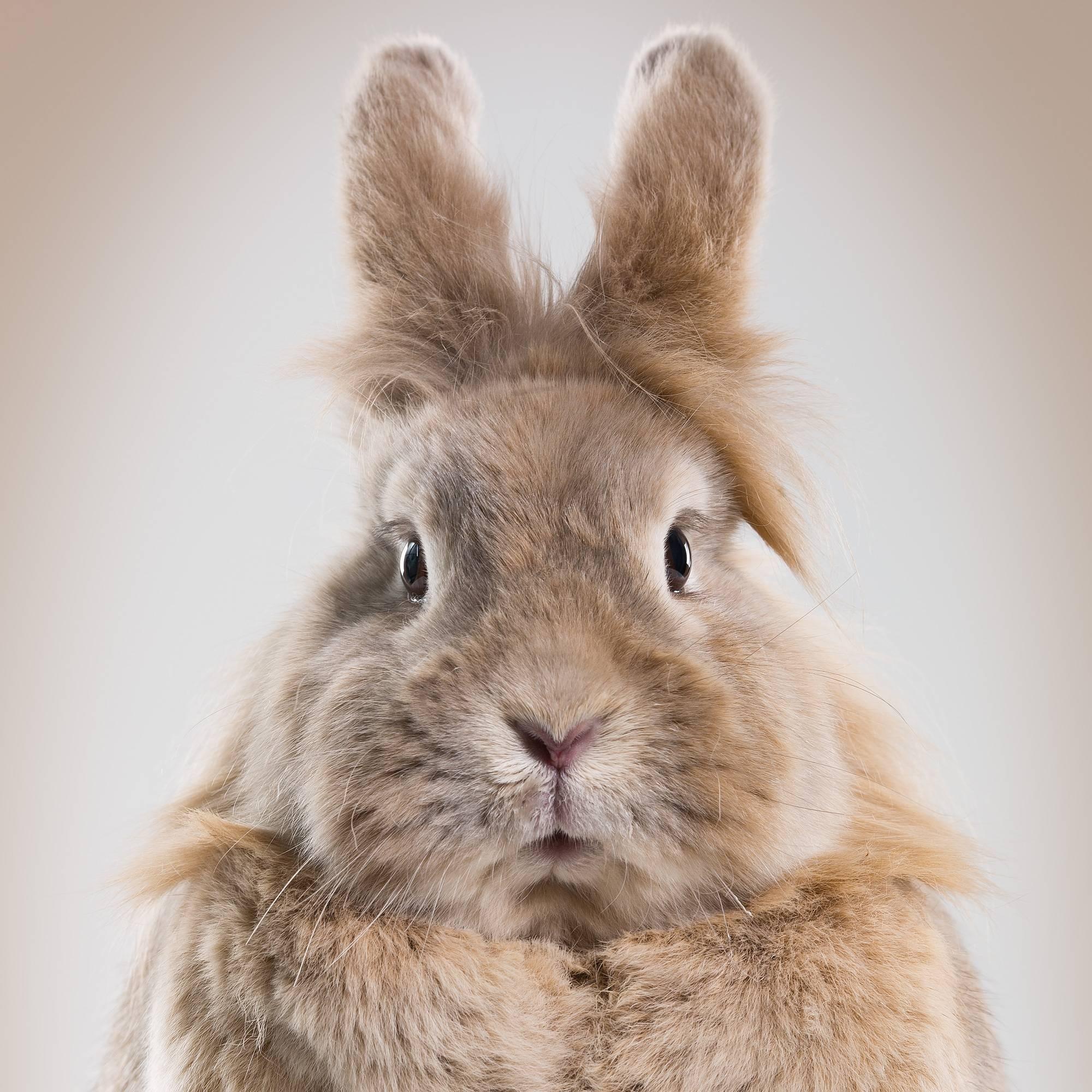 Beate Lange