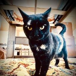 Chris 🏺Hosbach🏺(RtB)