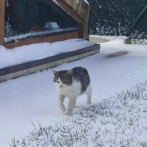 Juanfer Goñi iturri