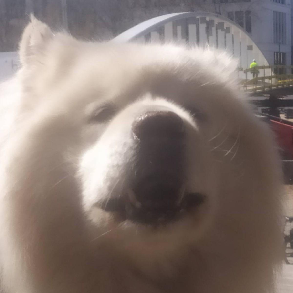 Jordi  PeñarandaPerez (HISP)