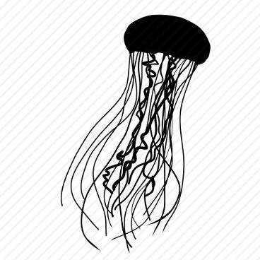 A Jellyfish