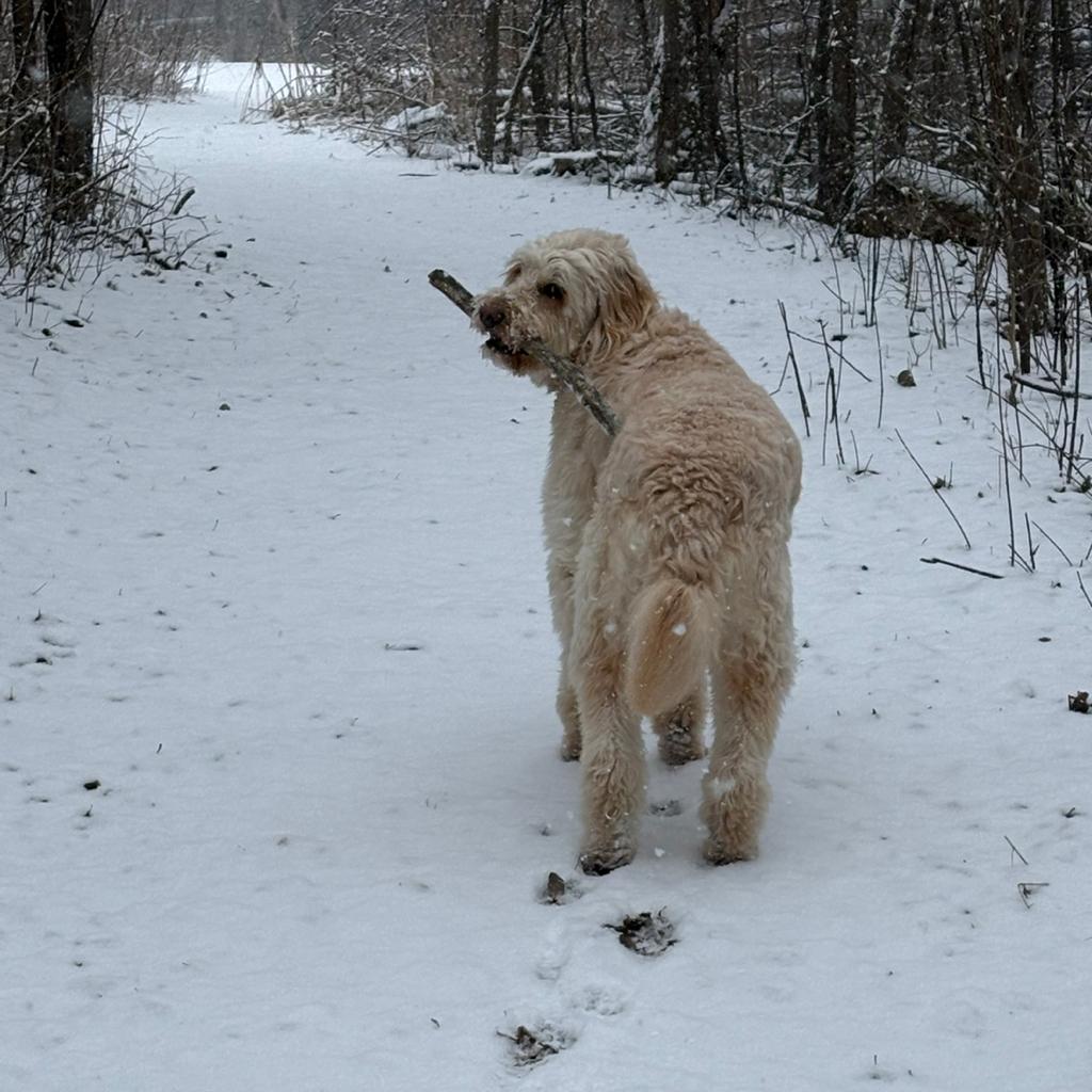 Patrick Callahan 🍰 [CC]