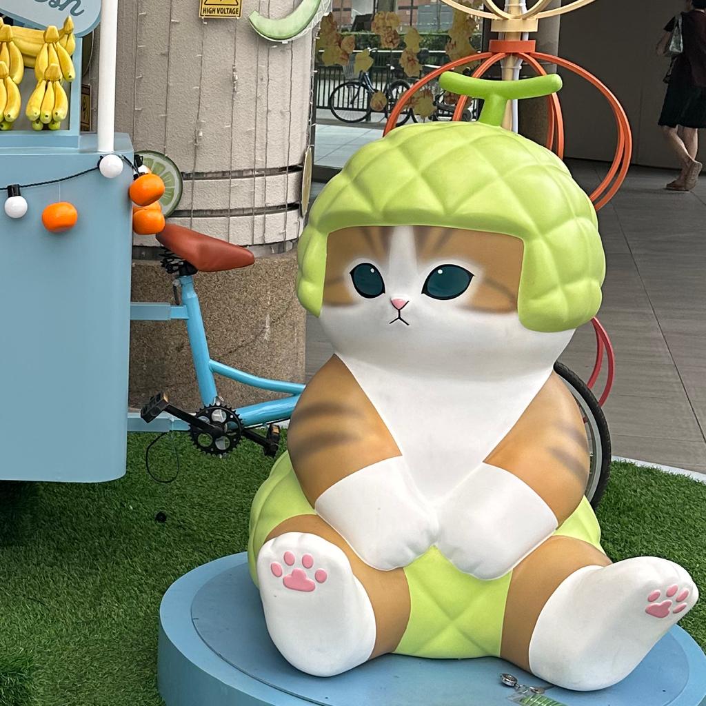 🍉Farrah/Hafiz  Hassan