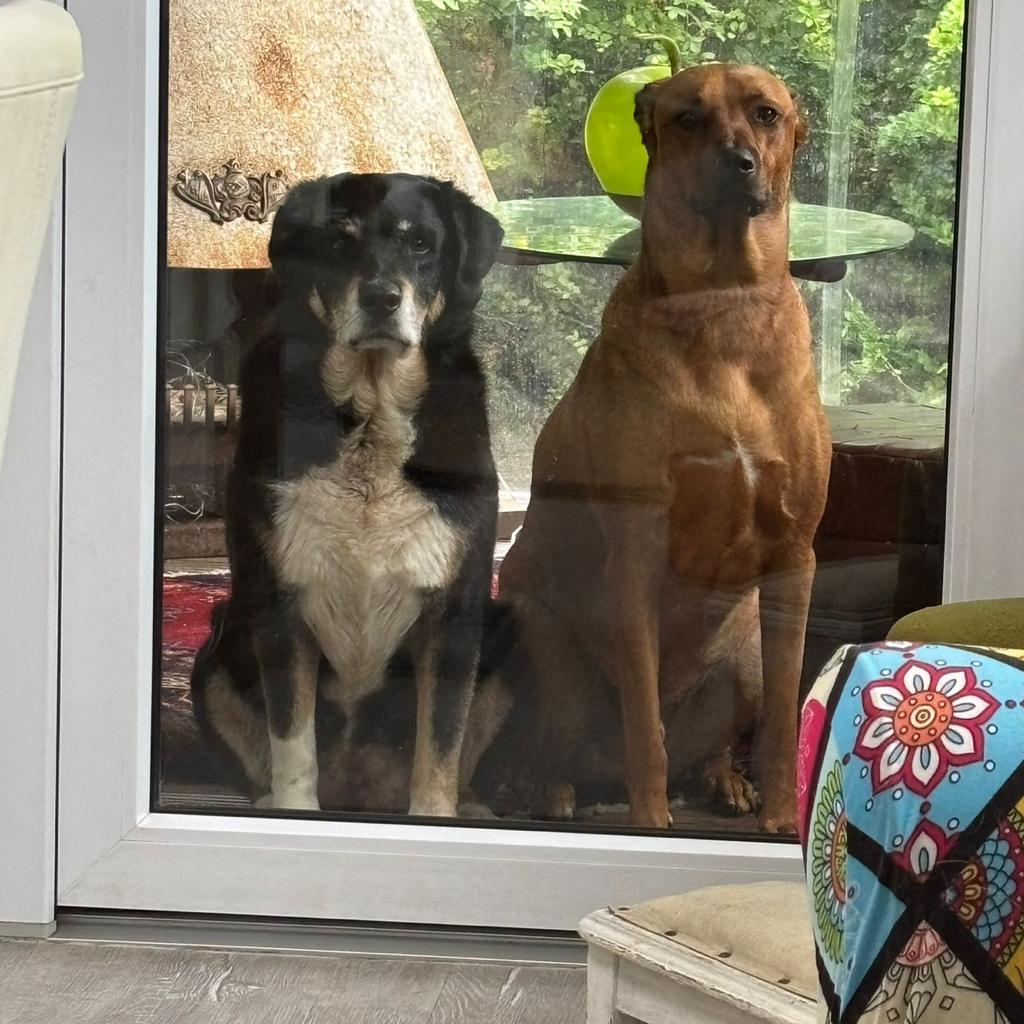 Matthias Hofmann LEQP