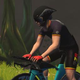 Michel Hautier (BZR)