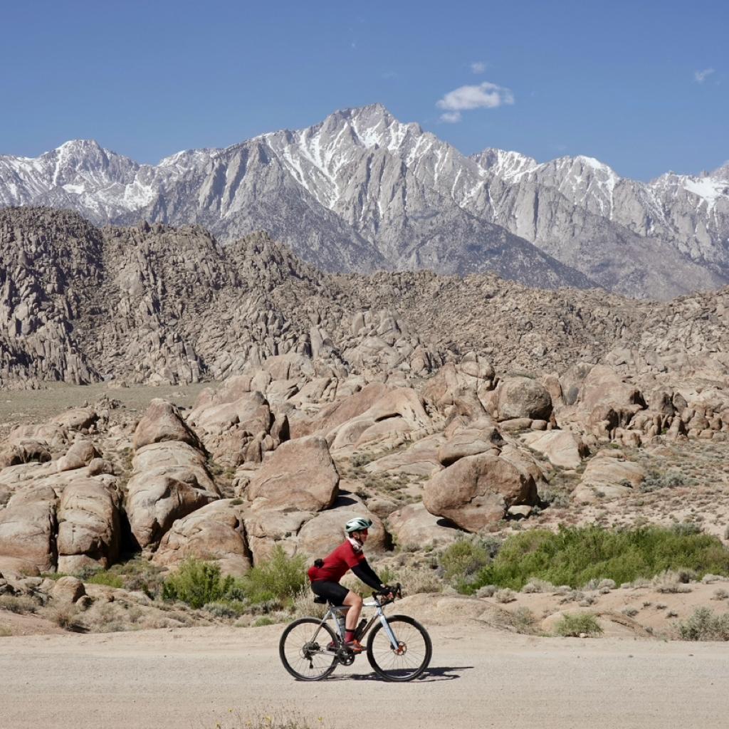 Joey D 🇬🇧🇺🇸 [GXY]