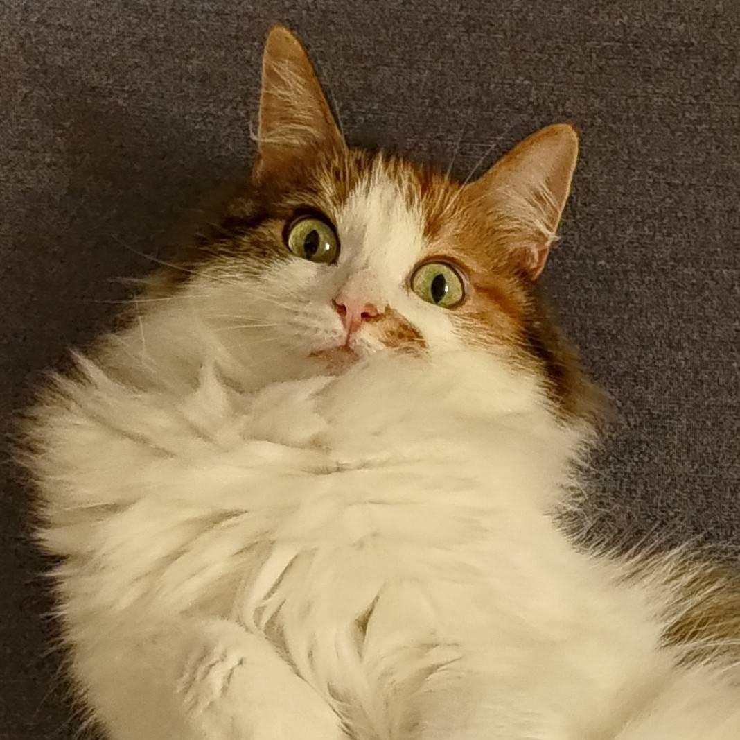 H M