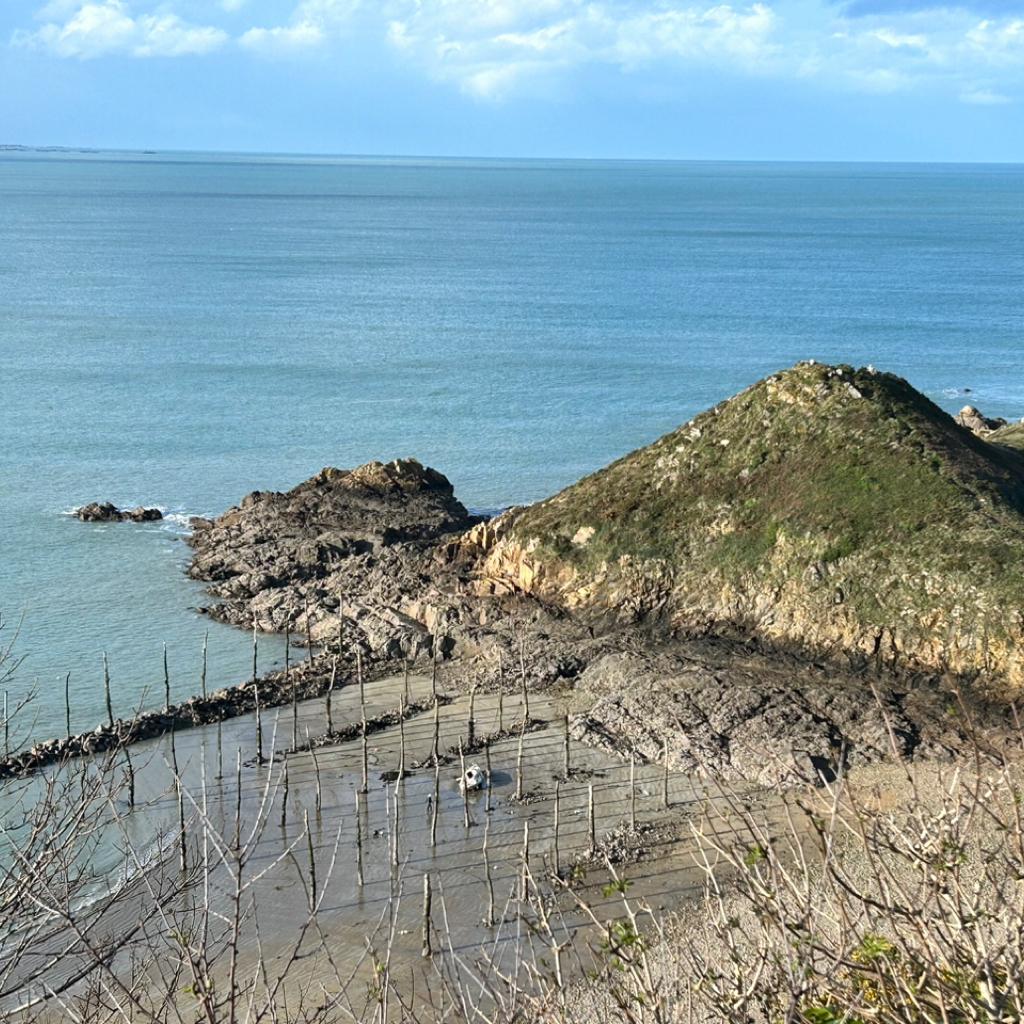 TomTom 49 (BIKES-FR)