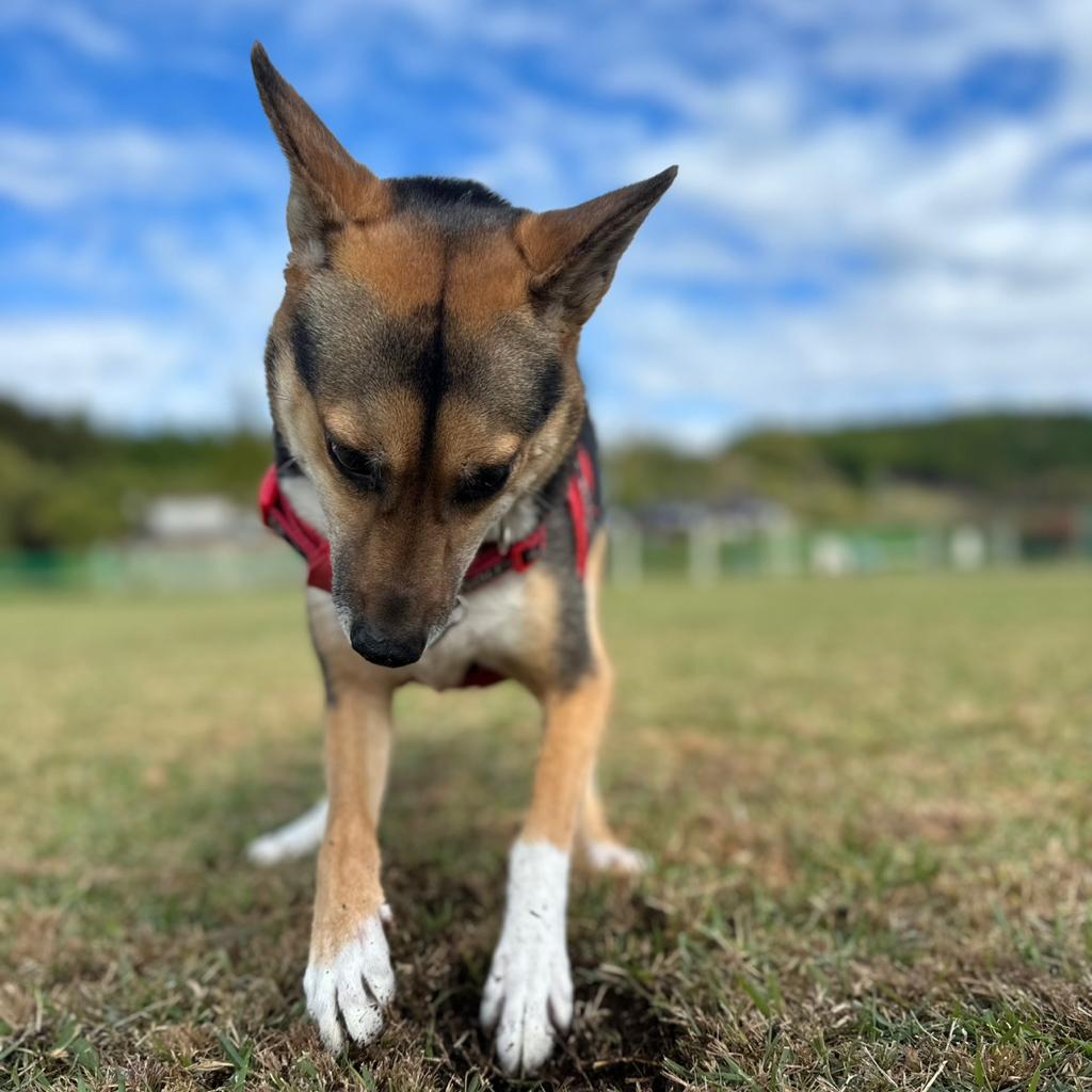 Taka Yoshi