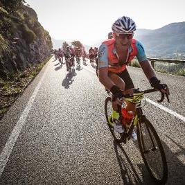 Joe Taylor 🐺 🐦‍🔥