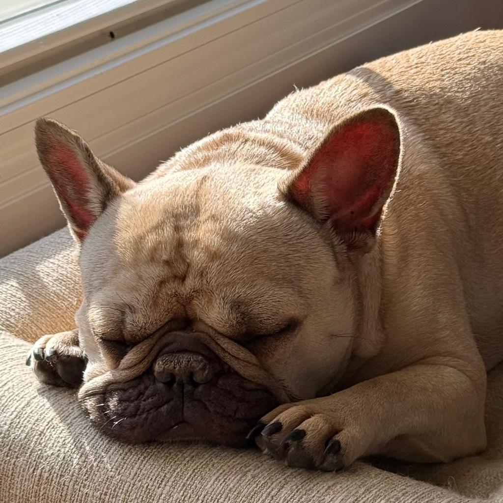 Prospect Rider (BMTR)