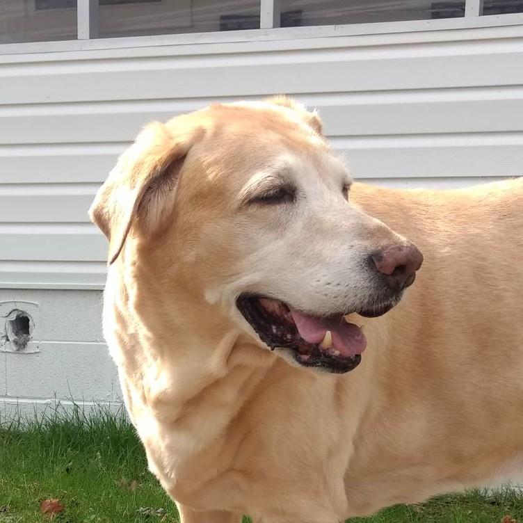 I’m Downtube Shifter Guy