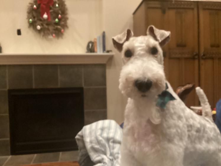 Terry Redmon (Wa State)