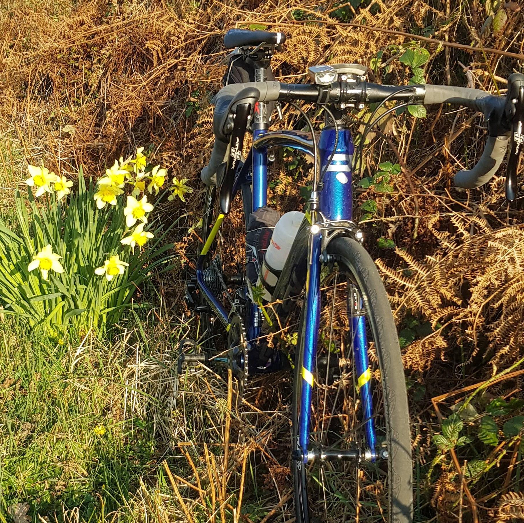 Ian T.  (SwanseaWheelersCC)