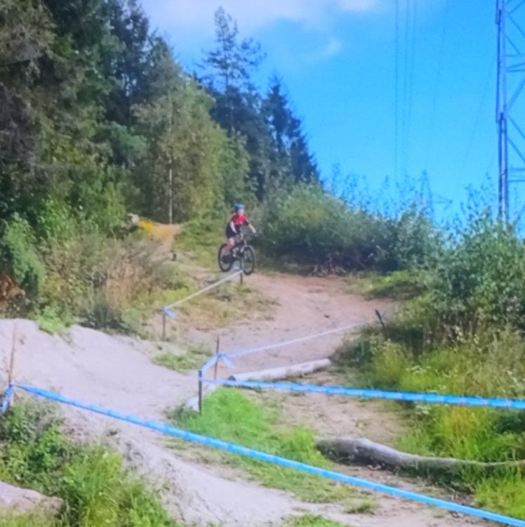 Emil Syvertsen-Fox [V]