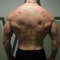 Erik Hellström [OUT] 🐗