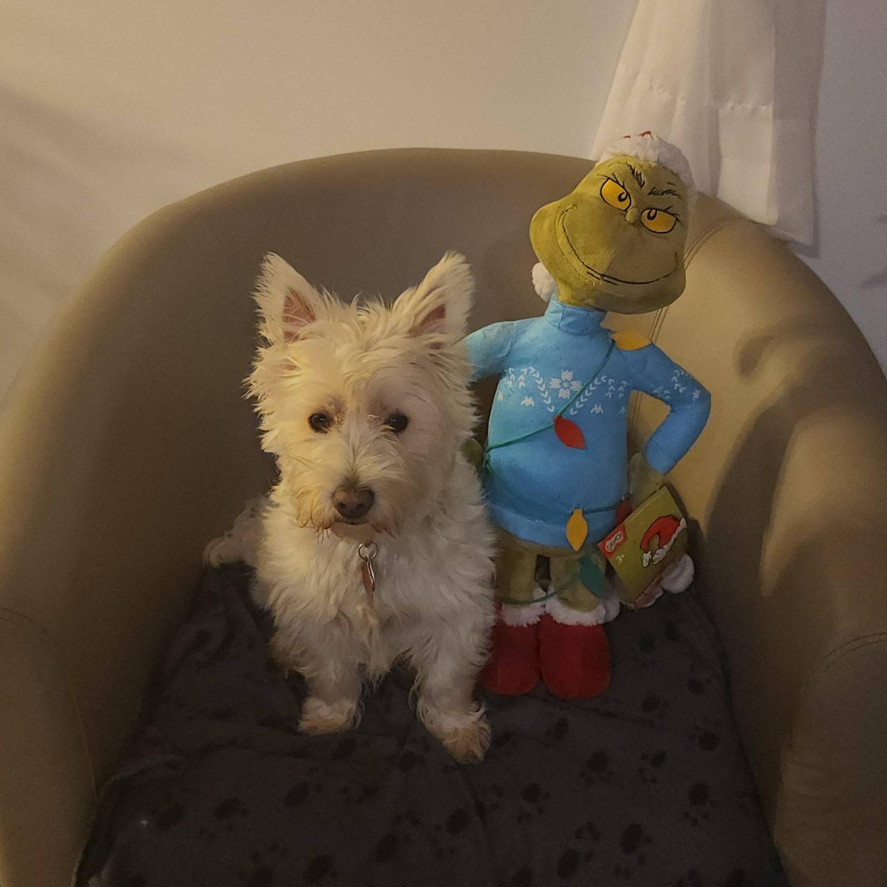 Vivianne Betty(BMTRT/ASC/TMC)