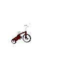 * Cycling Fanatic *