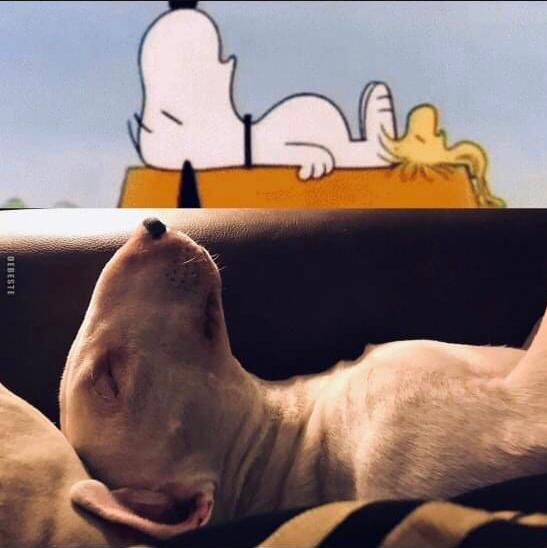 Eric Terpstra Life’s A …🌈